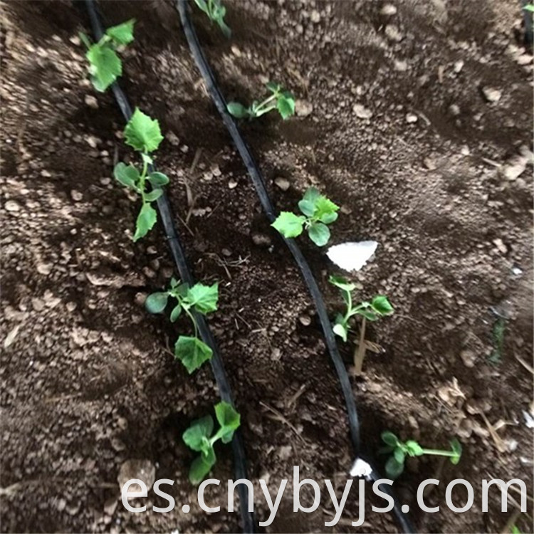 Drip Irrigation 95